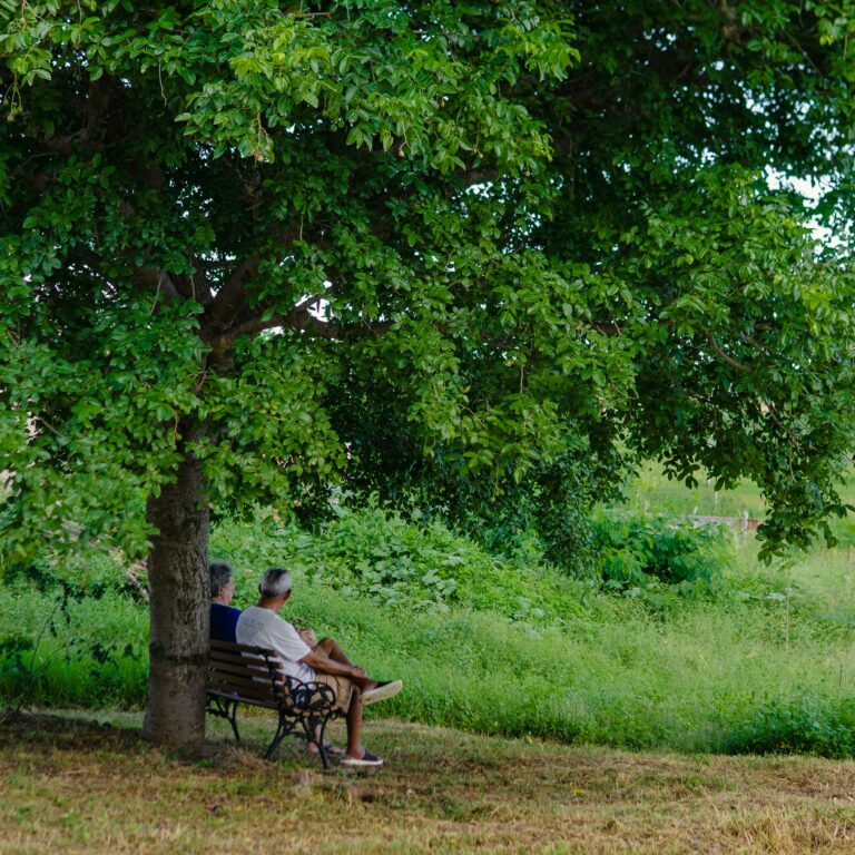 A quel âge devient on senior ?