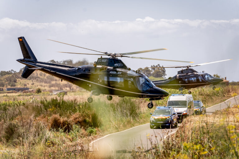 À partir de quel âge voir Criminal Squad : Pantera ? Criminal Squad 2 : Pantera